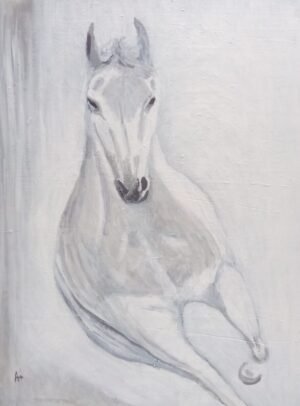 Untitled 34