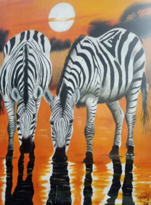 Zebras in the Glow